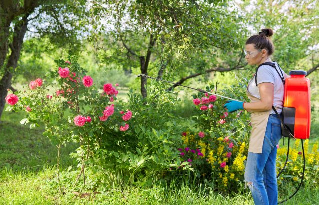 Controlling Garden Pests with Cedarwood Oil