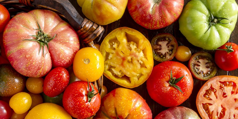 Tips for Growing Tomatoes