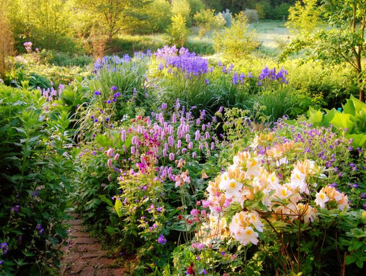 10 Plants You Won't Kill in Your Garden