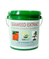Soluble Seaweed Extract. Macro and micro nutrient in dry soluble powder. 